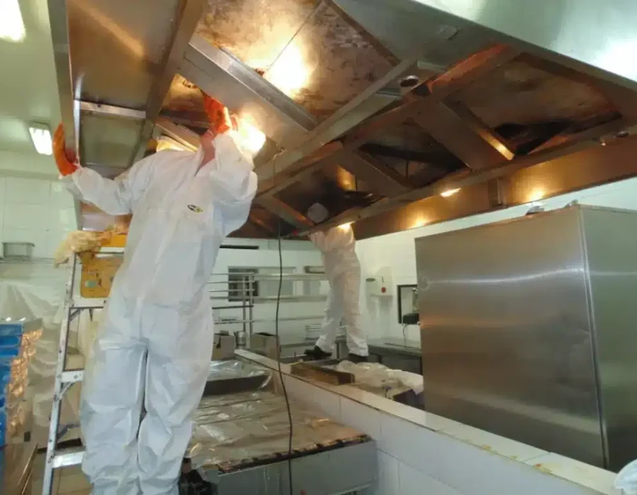 SERVICIOS_1-1024x768